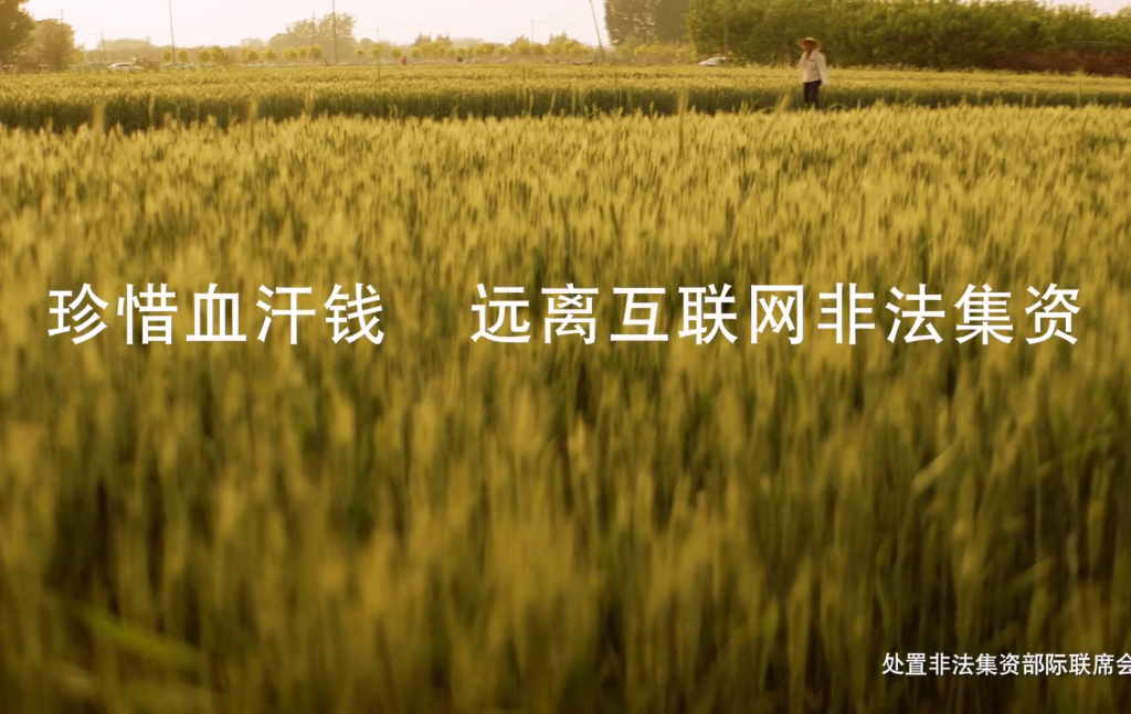 珍惜血汗錢 遠(yuǎn)離非法集資公益廣告