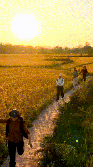 圖6 00_00_00-00_00_30.gif