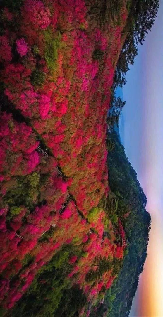 湖北，主要靠氣質(zhì)