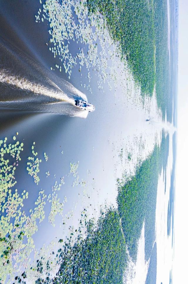 湖北,，主要靠氣質(zhì)