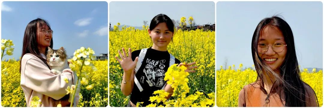 油菜花開(kāi)-陸運(yùn)良 攝.jpg