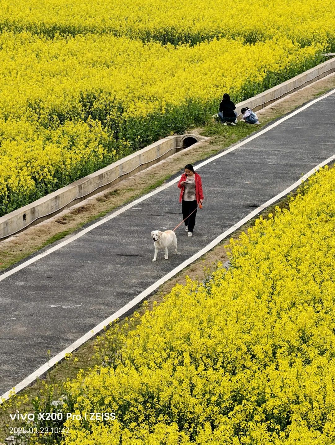 閑情漫染春光里,，一步花陰一步柔,。夏峰 攝.jpg