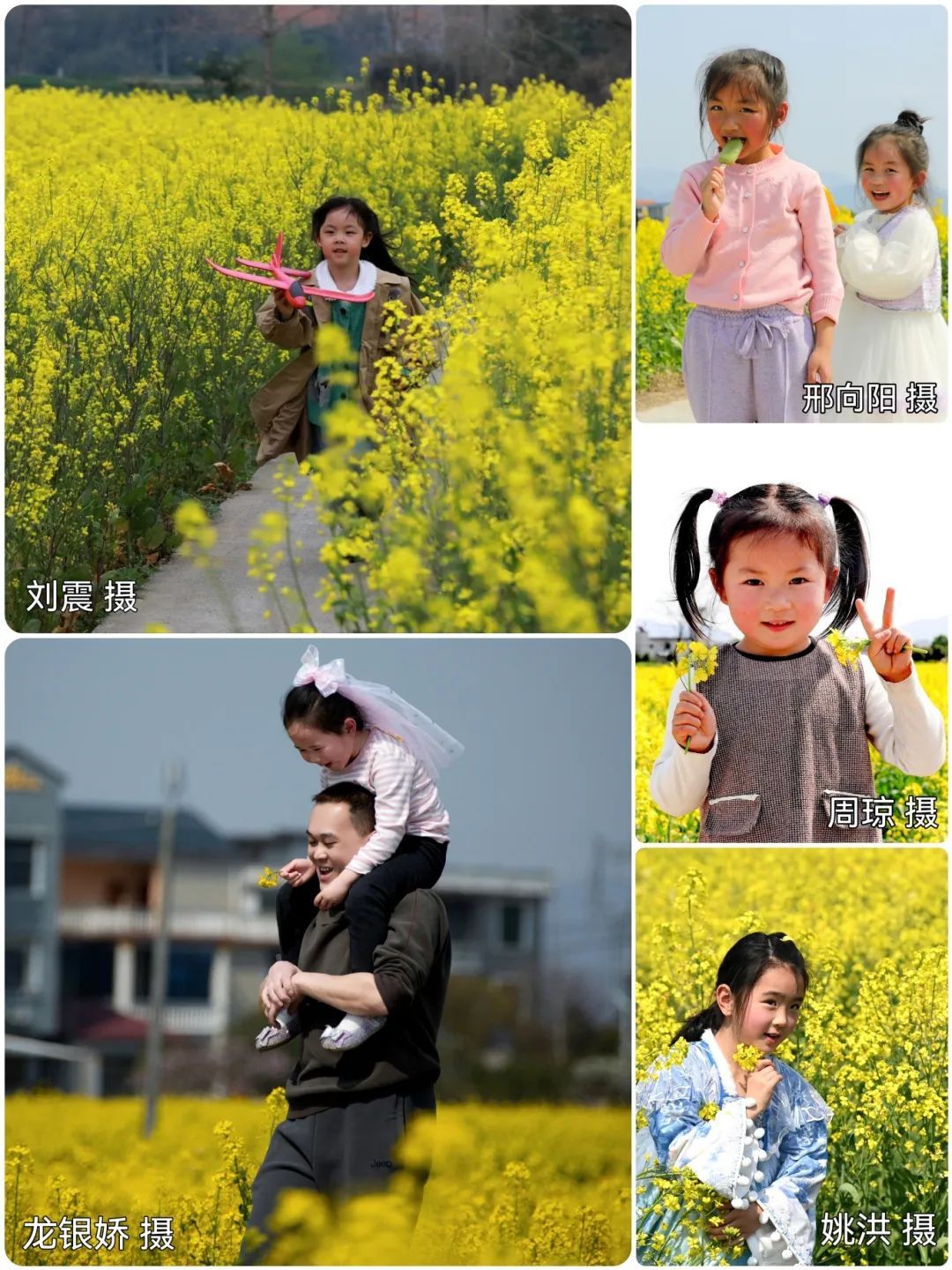 壟頭金浪舞春風(fēng)，稚子嬉游興味濃,。.jpg