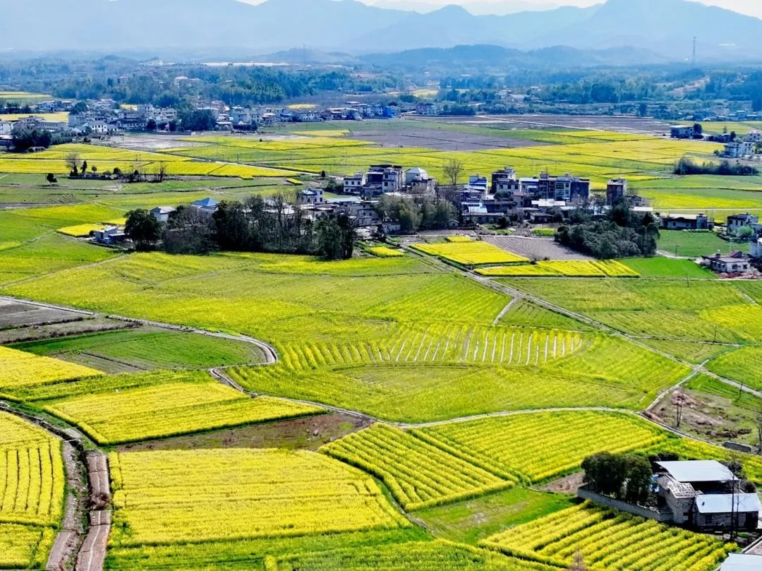 遠(yuǎn)山含黛添詩(shī)韻,，一幅春圖入畫(huà)章,。龍銀嬌 攝.jpg