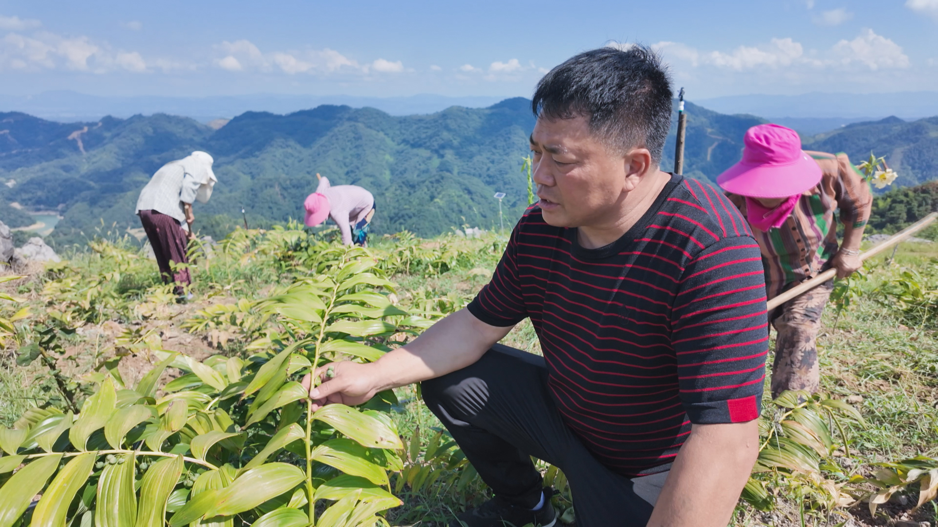 正在上傳...